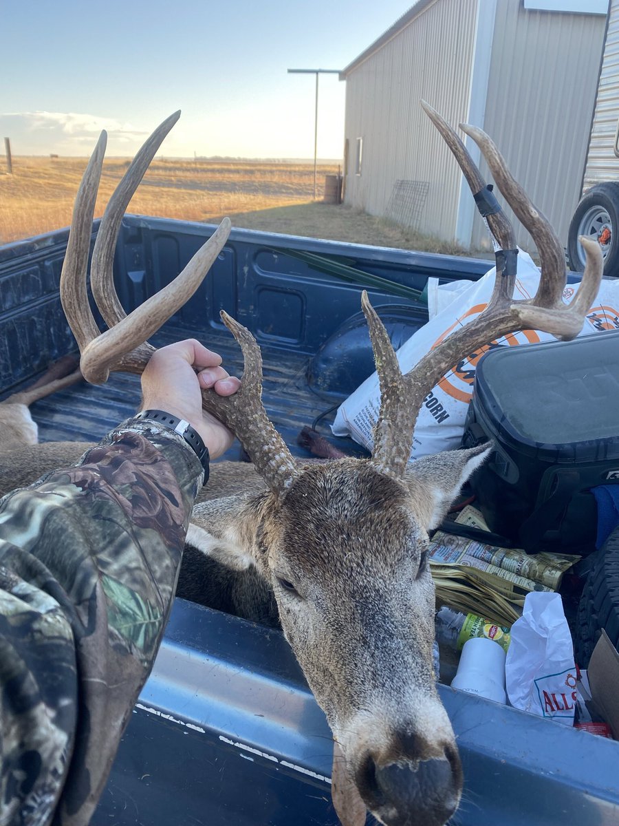 Little luck this morning on our farm.