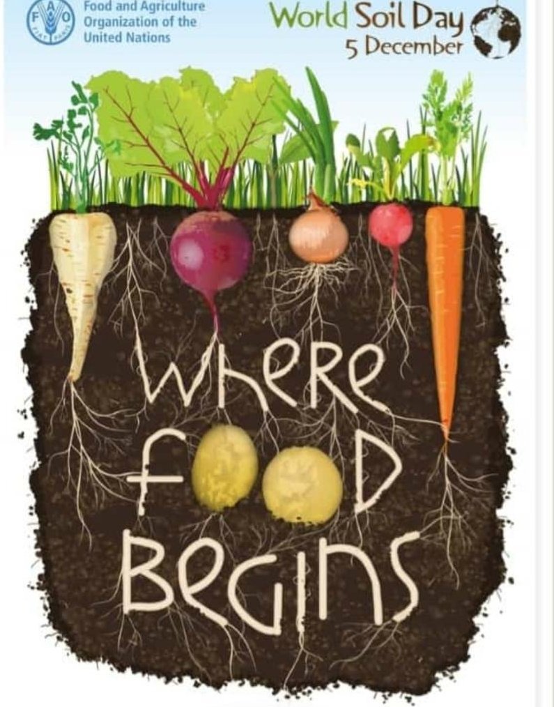 HamblokEvert's tweet photo. As a child I ate quite some soil during playing on the farm and in the garden. Soon I started to learn the importance of healthy soils. Today @Koppert works on many solutions to increase crop resilience. All starts with healthy soils. #WorldSoilDay https://t.co/GecmGrKc9R