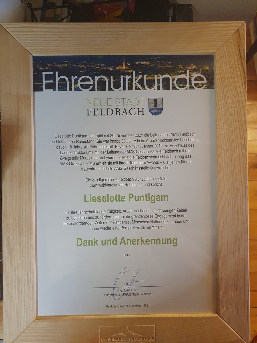 Feldbach Karte - Kleinstadt - Südoststeiermark, Steiermark, Österreich, image size:900x1200