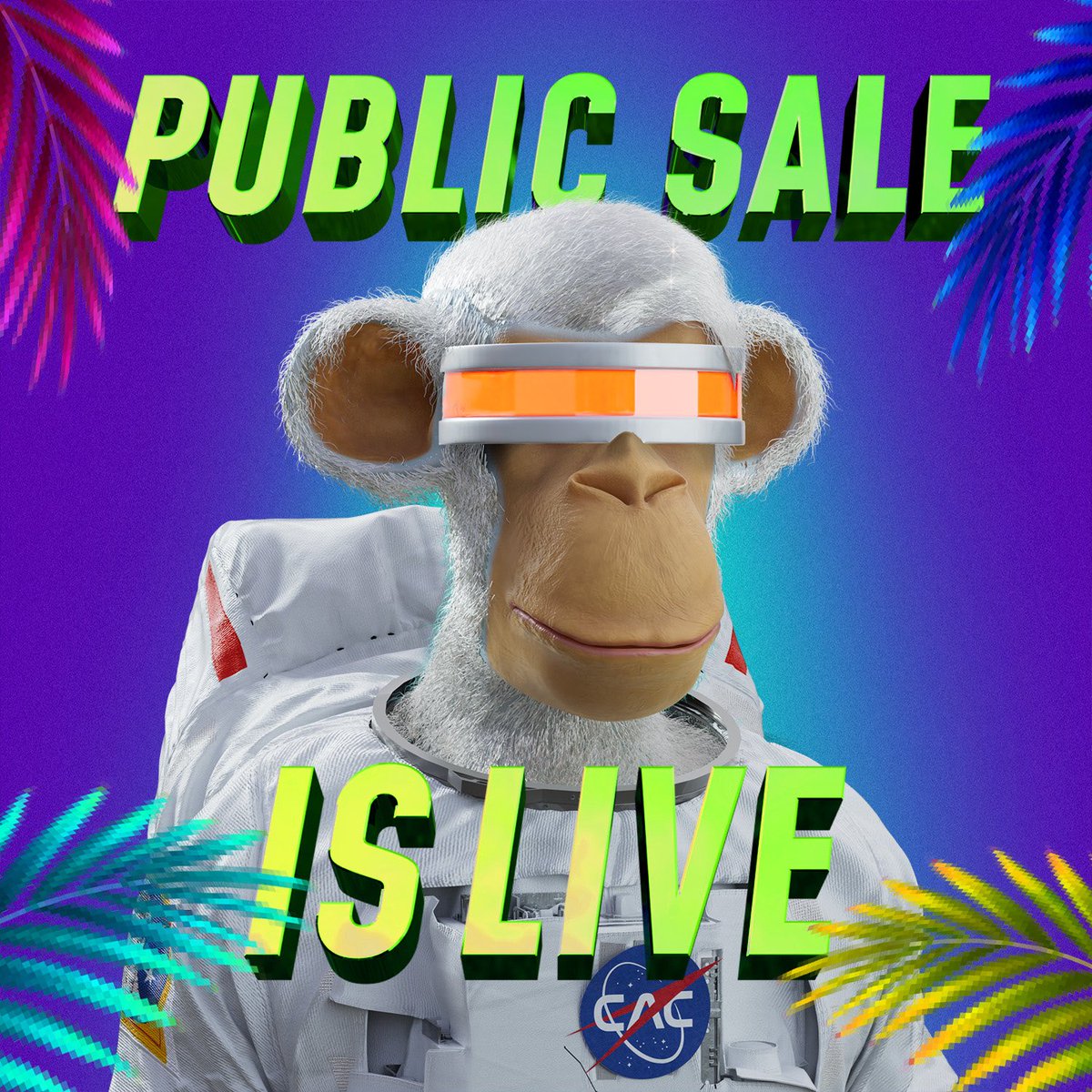 Chill Ape Club tweet media