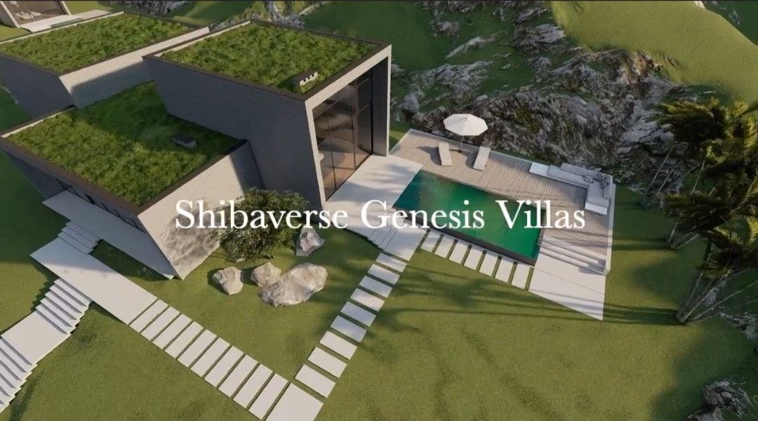 shibalution's tweet photo. @Gemfindxr Having your Shibaverse ($Verse) is like having a ticket for the first trip to Mars.  When platform launches in Q1 many will wish they listened! 

https://t.co/TxYzZT2vNl will be metaverse for the Shiba community and will melt faces..

Join us: https://t.co/wpz4yzPUjX https://t.co/fU3yYiT2kj