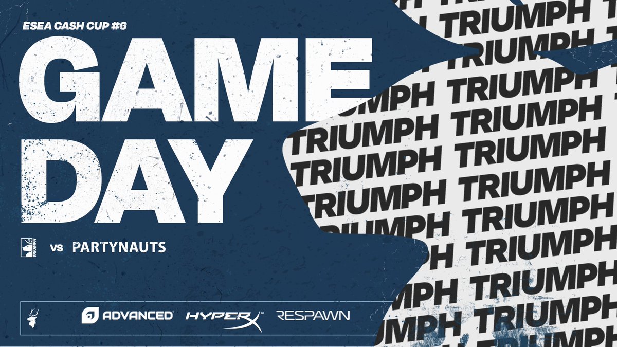 Triumph 🦌 tweet media