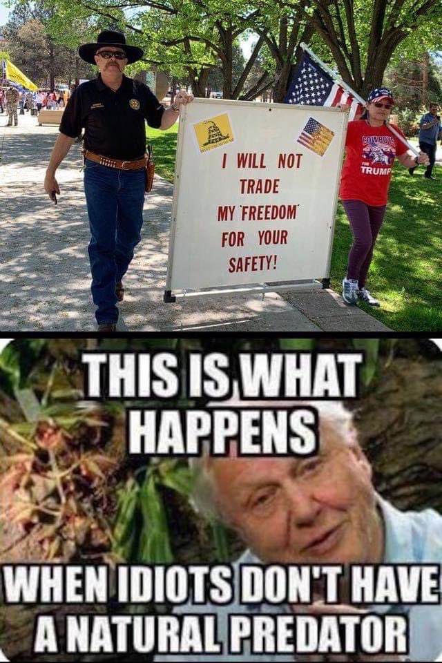 davidmcg63's tweet photo. @SheriffClarke https://t.co/fdpiTe7ddK