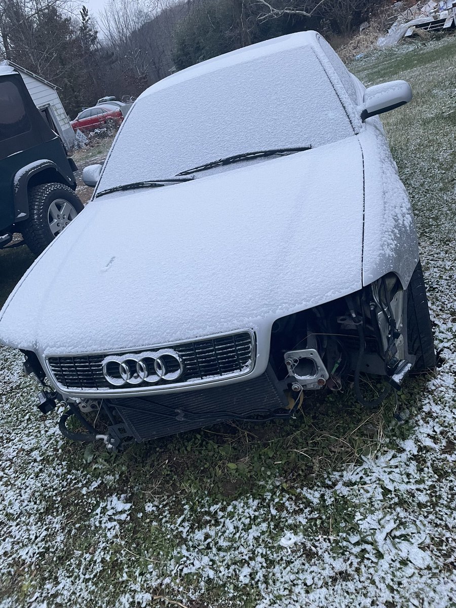StarkMidas's tweet photo. She’s snowy. https://t.co/4uJIZhL1if