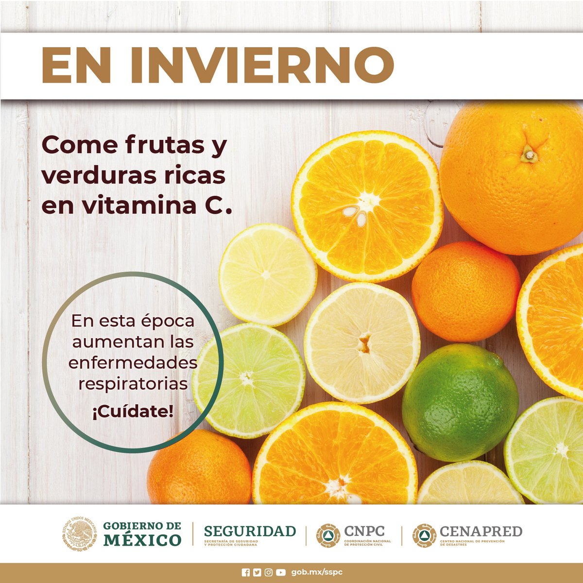 CNPC_MX's tweet photo. ¡El #invierno ☃️❄️ está por comenzar! 

Prepárate y fortalece 💪 tu sistema inmunológico consumiendo frutas y verduras ricas en vitamina A y C, como naranja, mandarina, guayabas, fresas, ciruelas, pimientos, brócoli, entre otras.

¡Las frutas de temporada son las indicadas! 🍊 https://t.co/upsstqlZNq