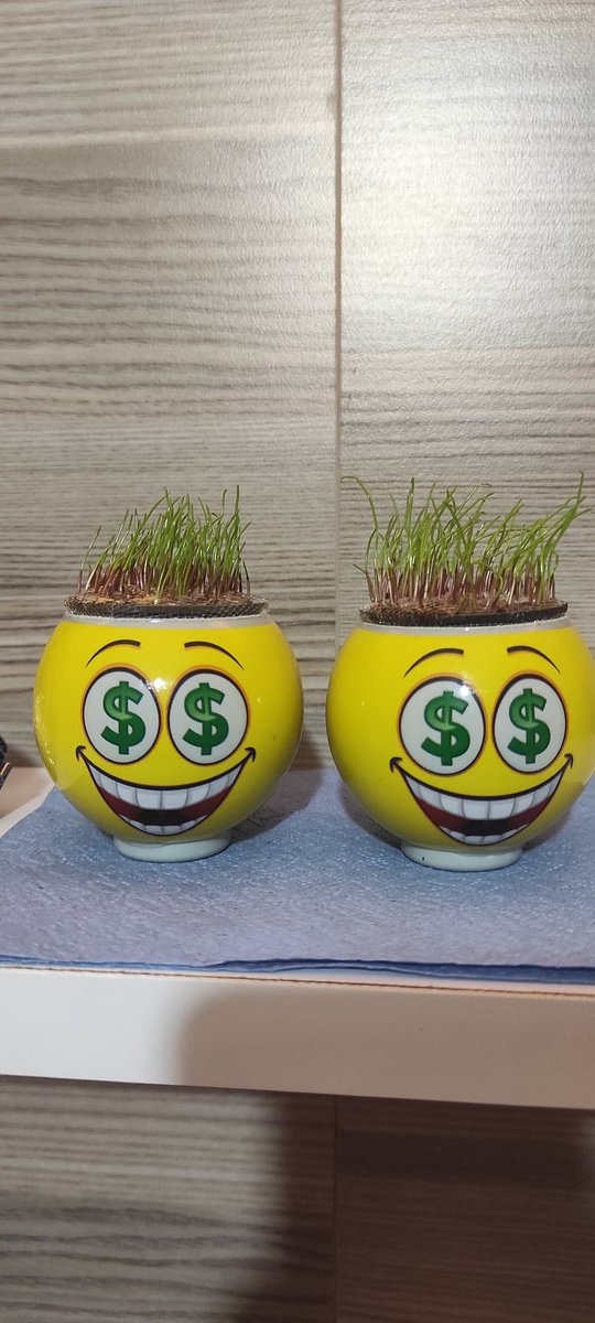 #SHIB
#Tether
#Crypto
#bitcoin 49.000 üzeri kapatmaz ise yeşil yakana kadar kesicem sizi