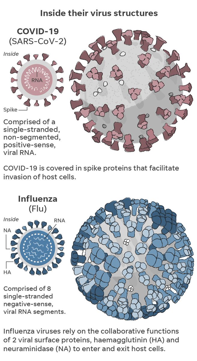 Virus vs virus. Вирус Covid-19. Инфлюэнца вирус. Инфлюэнца вирус информация. Коронавирус вирус схема вышивки.
