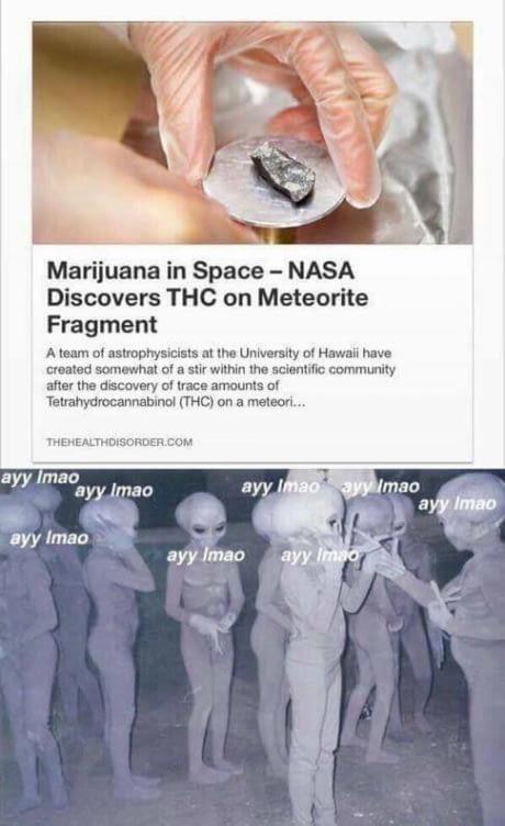Ayy lmao