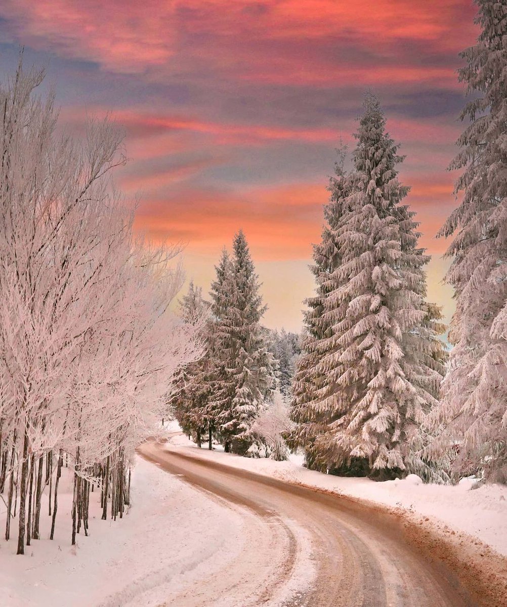 WVtourism's tweet photo. A warm, merry and bright #AlmostHeaven scene. ❄️

📸: https://t.co/vbFXMSF28g
📍: Snowshoe Mountain https://t.co/8n6iFhNFOs