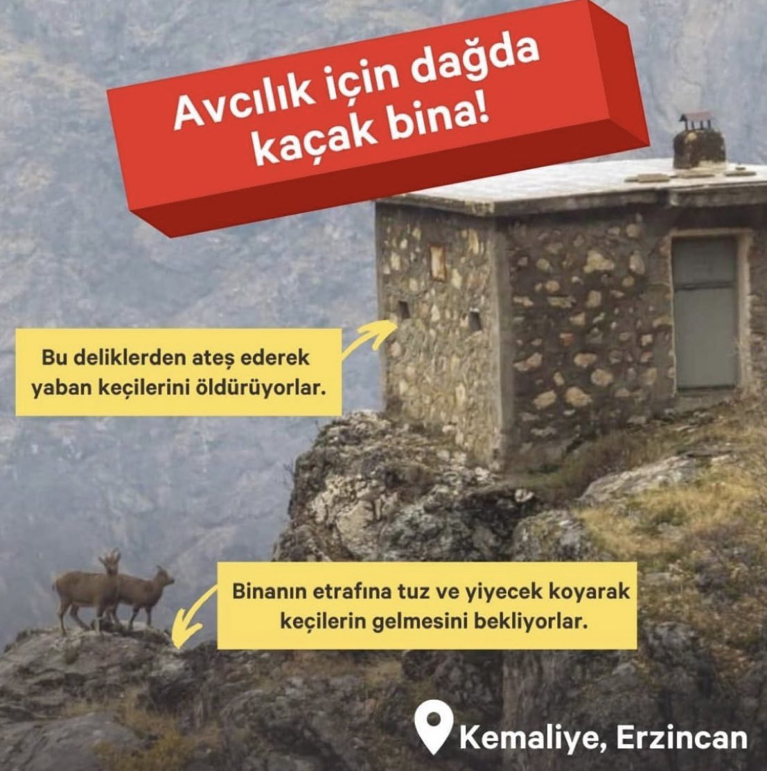 ENBRIGHT_LED's tweet photo. #avcılıkcinayettir https://t.co/QJqRcxKX7A