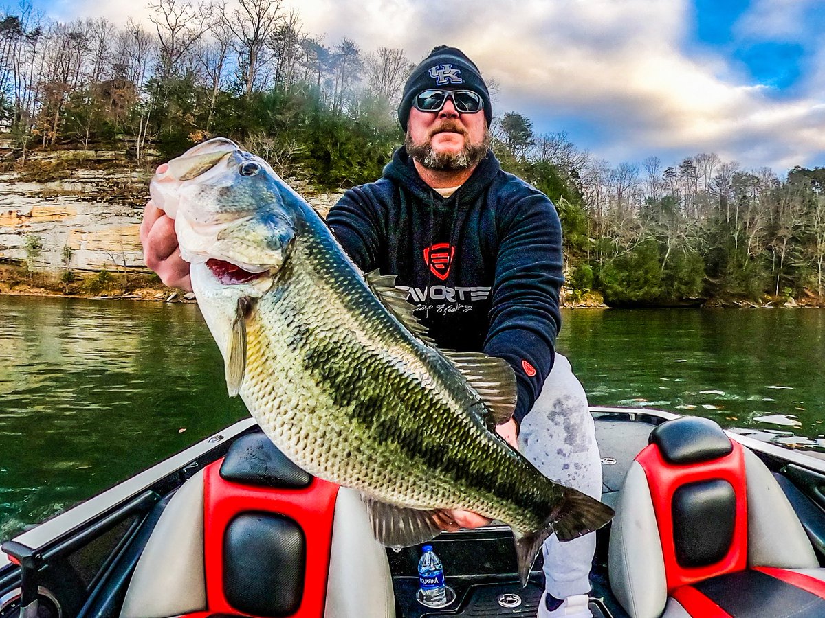 jasonkinner1's tweet photo. I asked Santa for βπ» more big bite for 2021. Santa came early! ππ£π€π»
She isnt the biggest bass in the lake but Ill take a 6.5lber on December 5th! #fishing #bassfishing #FavoriteArmy #AlwaysBeRecording #RangerBoats #GetOutGoFishing @FavoriteRodsUSA @RangerBoats @LurenetFishing https://t.co/pIucSAAP88