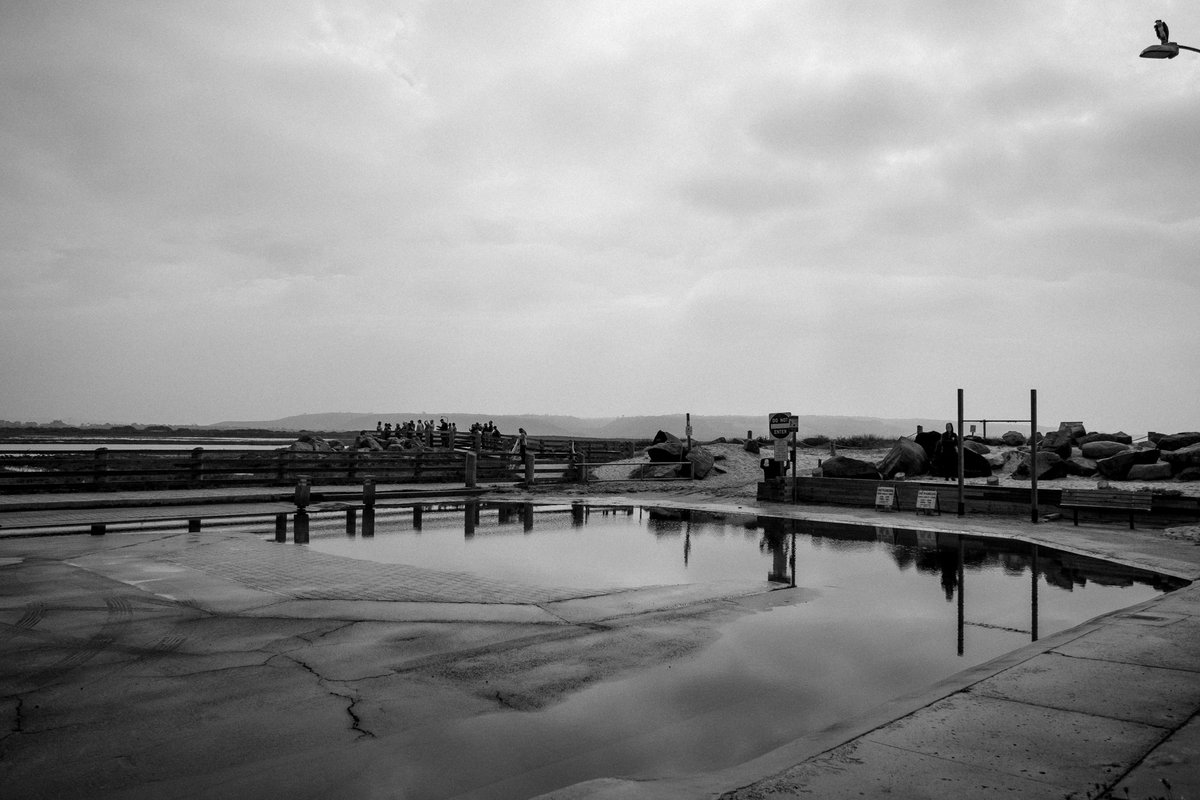 WilliamBay's tweet photo. Pic 6 from yesterday’s King Tide walk with
@TijuanaEstuary. This is what happens at the end of Seacoast Drive in Imperial Beach during a medium King Tide. On a large King Tide combined with a storm surge, the entire street, and sidewalk will be submerged.
#KingTidesProject https://t.co/bKueSingiR