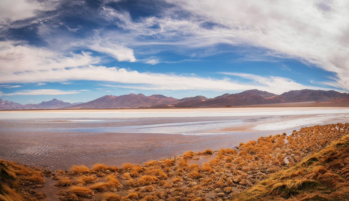 ApatamaP's tweet photo. Salar Maricunga en Atacama https://t.co/3ivlq6RQy0