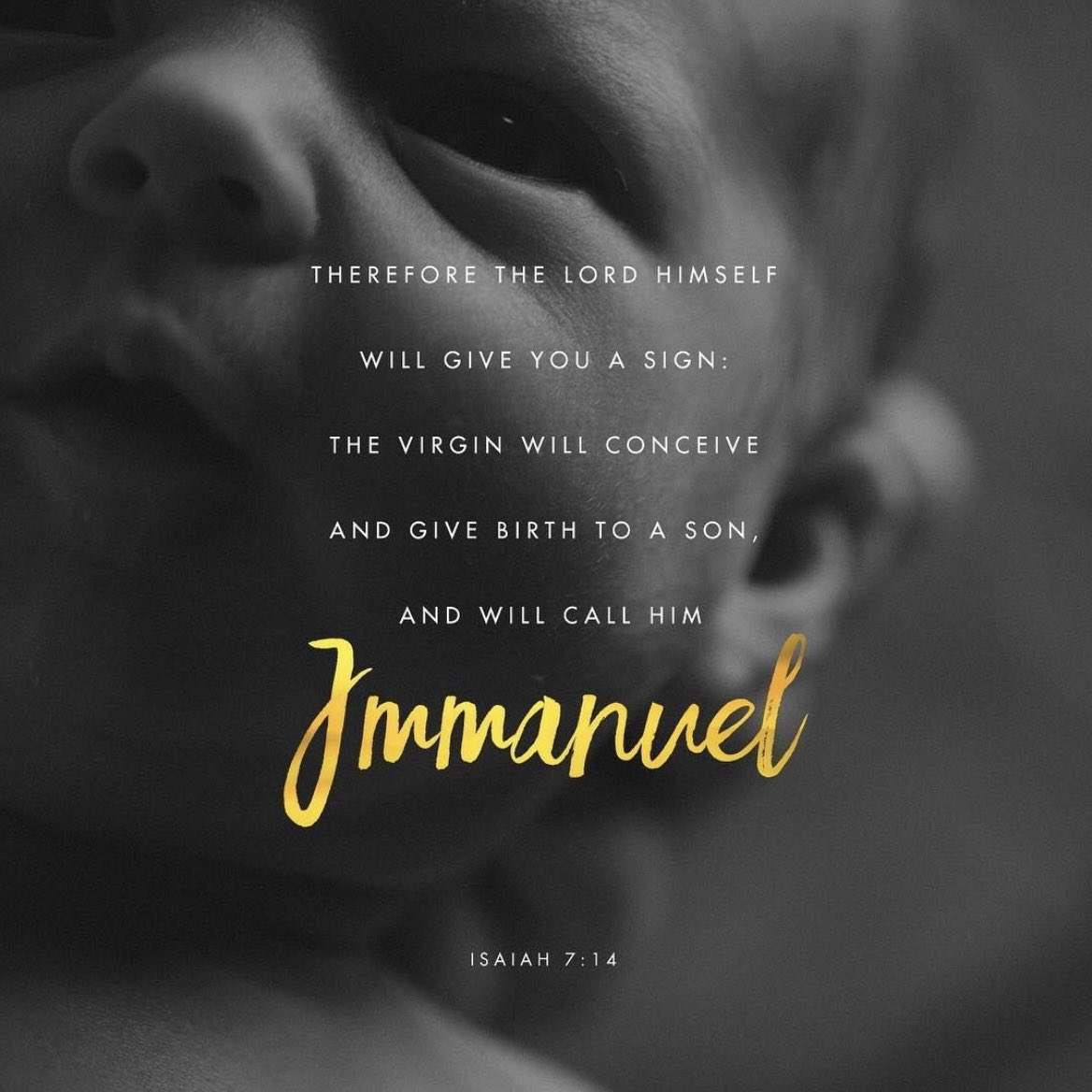 VOTDBibleDaily's tweet photo. Isaiah 7:14 — Therefore, the Lord Himself will give you a sign: Look, the virgin will be with child and bear a son, and she will call His name Immanuel. https://t.co/5caksRSbZC