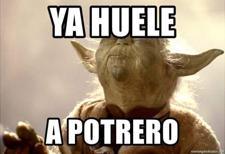 Jose Manuel tweet media