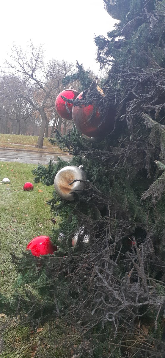 Philaniseforco1's tweet image. View my statement about the Christmas Tree burning here: philaniseforcongress.com/media-statemen…