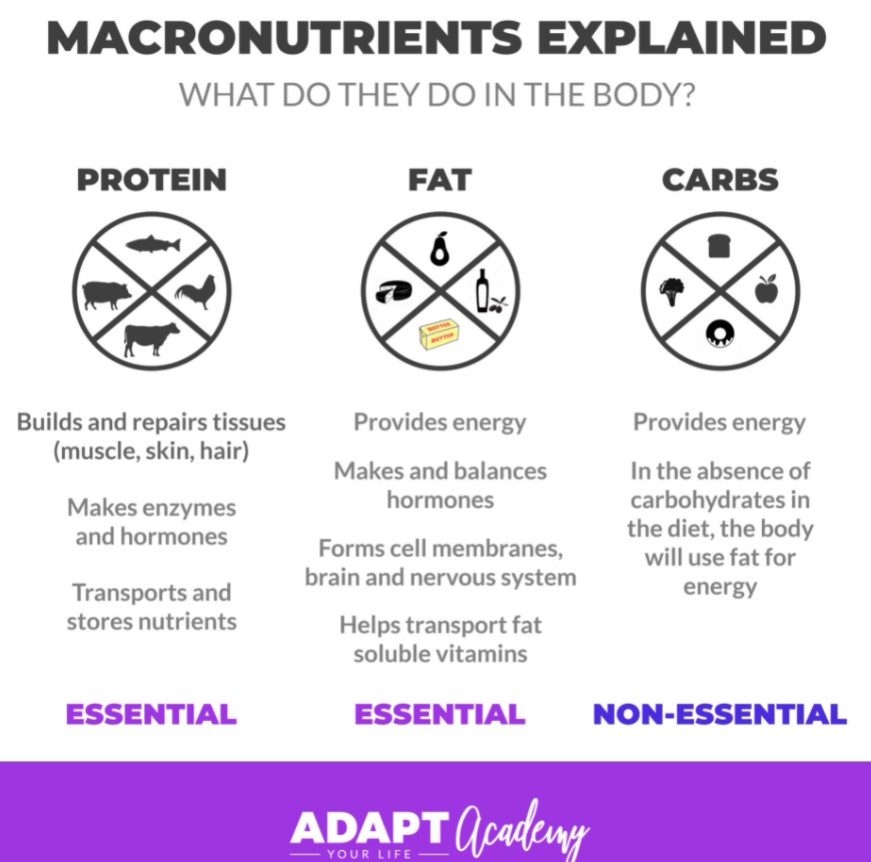 drericwestman's tweet image. 🤔CARBS ARE NON-ESSENTIAL🤔
True, eating carbs is NOT essential. If you’re finding that confusing, I understand. “Carbs are Non-Essential” is a fact – even though it goes against everything you may have been taught. How's this fact changed your life? Pls share thoughts below.