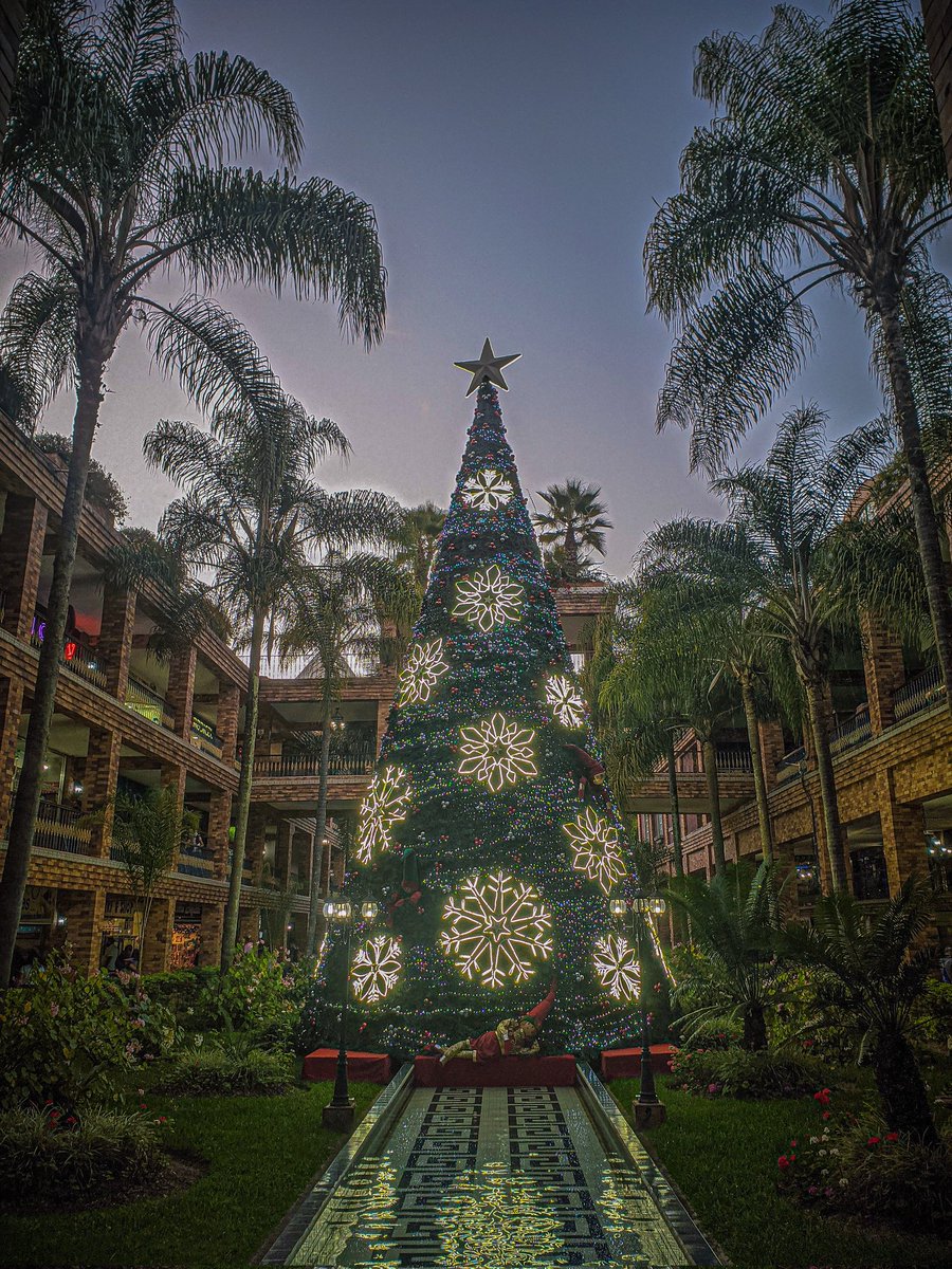 pkeiber21's tweet photo. 🎄 https://t.co/R8WHPF3Wc5