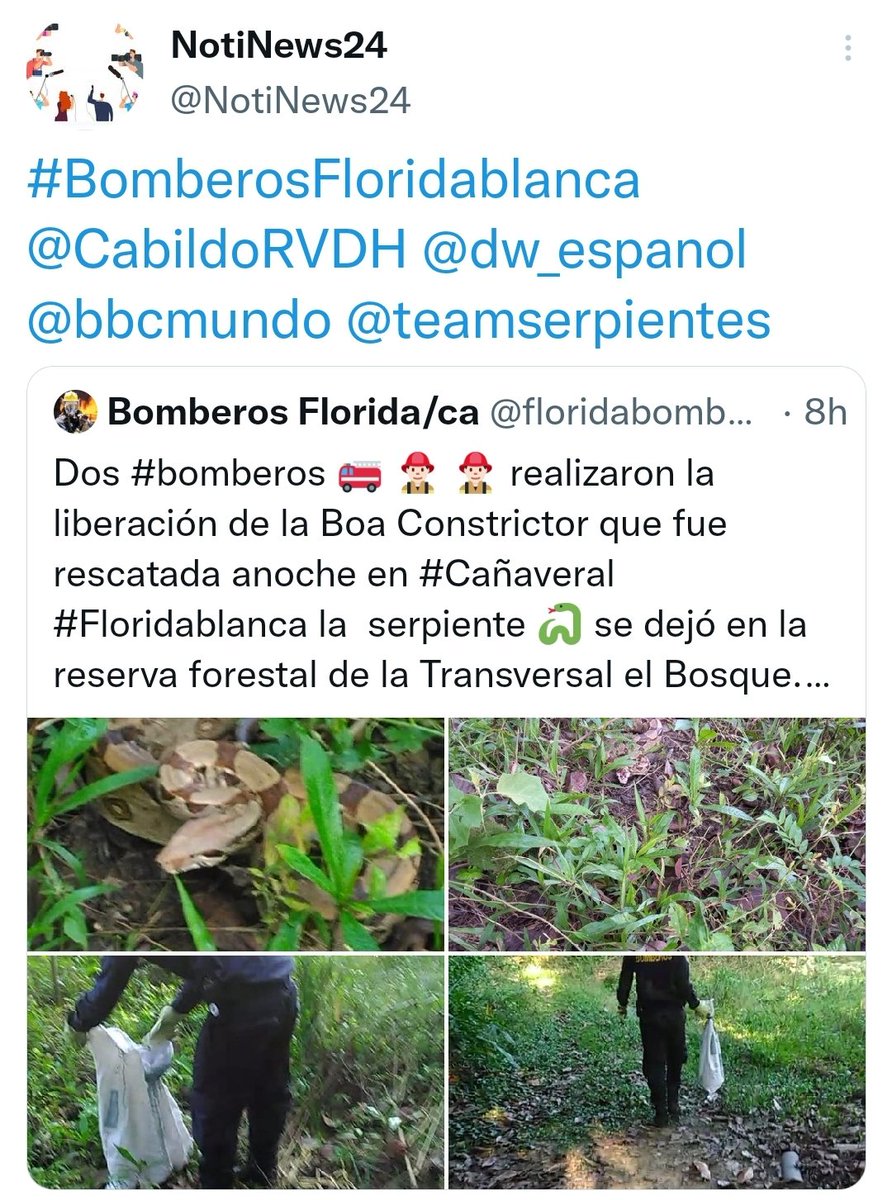Serpientes de Aarón 🐍 tweet media