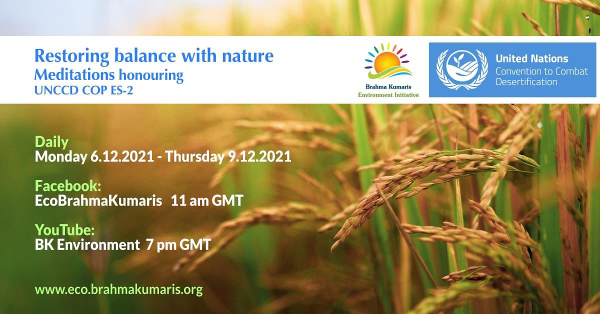 EcoBrahmaKumari's tweet photo. Restoring Balance with Nature Meditations honouring @UNCCD COP ES-2.
🌱🤎🌾
from Monday 6 to Thursday 9 December:
11am GMT https://t.co/M4cj17Lrur
7pm GMT https://t.co/tbVU5jCdIU
#ecobrahmakumaris #UNCCD #SustainableLandManagement #combatingdesertification https://t.co/wGAIE0NCJd