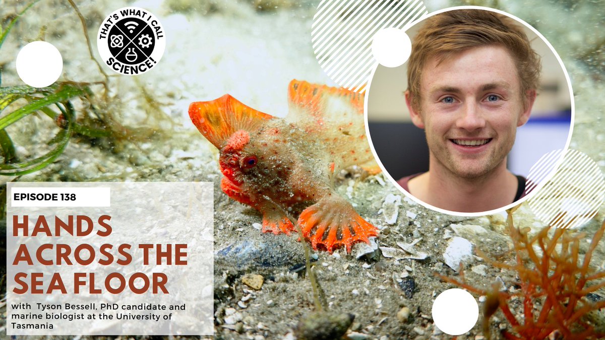 That's What I Call Science 🎙 (@thatssciencetas) on Twitter photo Little hands scurrying across the sea floor, this week's episode is about the critically endangered Red Handfish.
Listen as @Dr_NChapman and <a href="/miburose/">Mibu Fischer</a> chat with Tyson Bessell from <a href="/IMASUTAS/">IMAS</a>.
#handfish #conservation #redhandfish #endemic #stemmpodcast #twics <a href="/EdgeRadio993FM/">Edge Radio 99.3FM</a> Little hands scurrying across the sea floor, this week's episode is about the critically endangered Red Handfish.
Listen as @Dr_NChapman and <a href="/miburose/">Mibu Fischer</a> chat with Tyson Bessell from <a href="/IMASUTAS/">IMAS</a>.
#handfish #conservation #redhandfish #endemic #stemmpodcast #twics <a href="/EdgeRadio993FM/">Edge Radio 99.3FM</a>