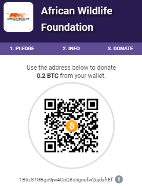 SOL_Tigers's tweet photo. A donation of $10,000 in $BTC has been made to @AWF_Official from the NFT SOL Tigers project. ❤️ https://t.co/UABrTMAyQE