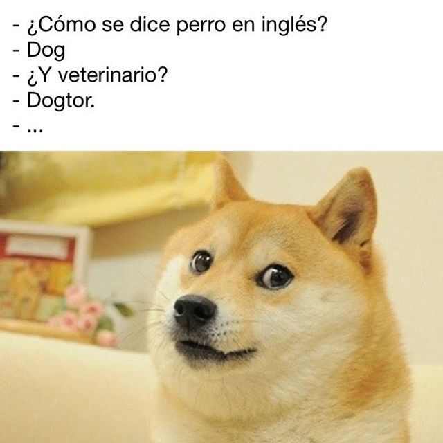 Chilango tweet media
