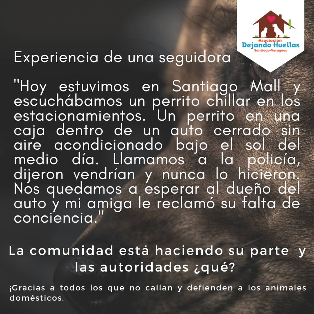 Señores de <a href="/ProtegeryServir/">Proteger y Servir</a> lo mínimo que espera la comunidad y las organizaciones protectoras de animales, es que sus unidades en #Veraguas tengan un poco más de empatía con estas denuncias. Aquí hay dos casos en los que decidieron no hacer NADA, pese a que se les pidió ayuda.