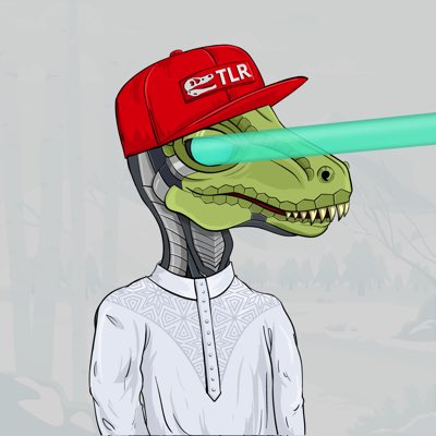 Dylan tweet media