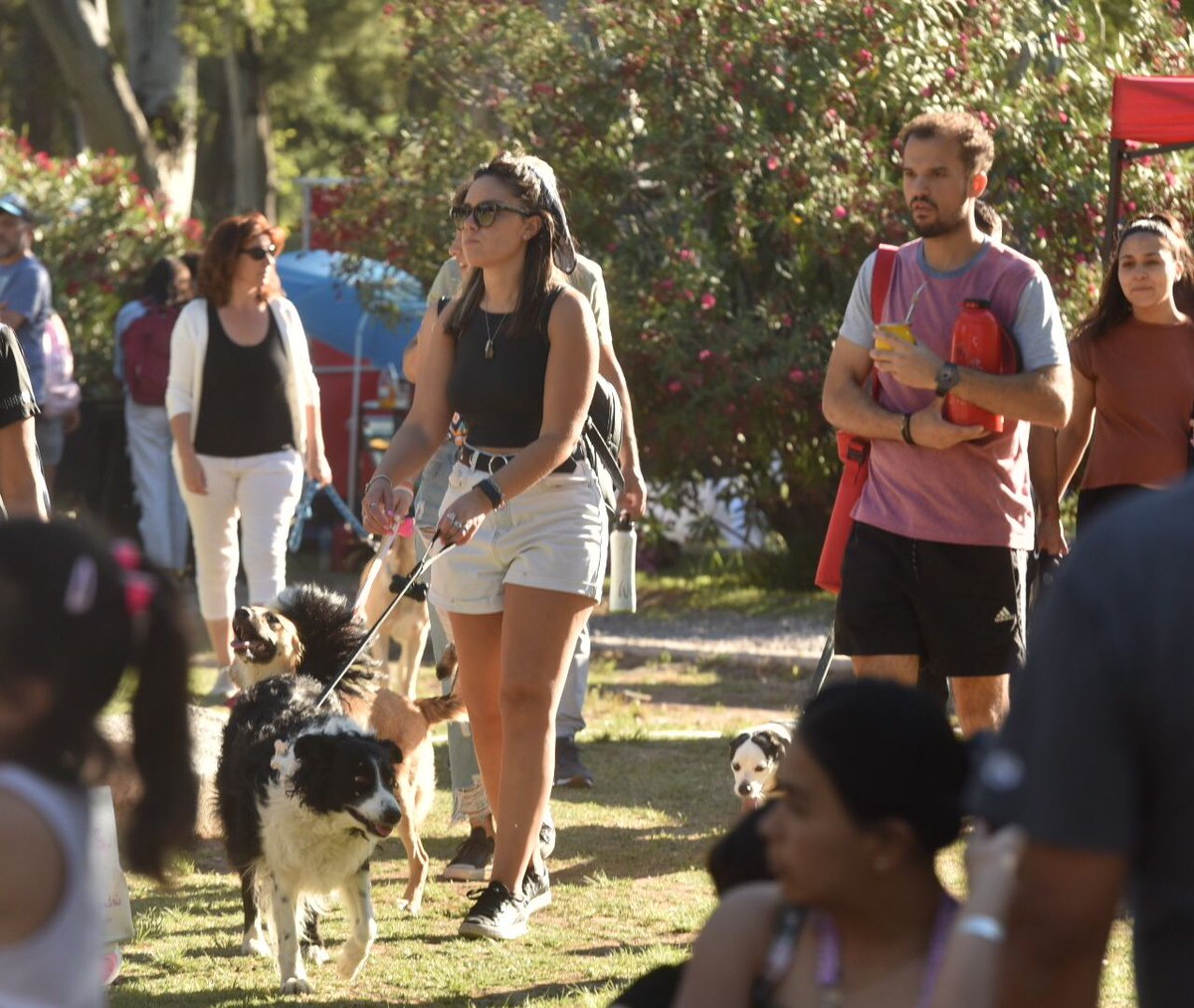 pabloromera's tweet photo. Pasó el último #DisfrutáBahia del año en el Parque de Mayo, con muchísima gente y un domingo hermoso en familia y con amigos.
Gracias a todos los que acompañaron, a los artistas, a los gastronómicos, emprendedores y al personal del @MunicipioBahia 

¡Los esperamos en el 2022! https://t.co/jja1Xcgb6h