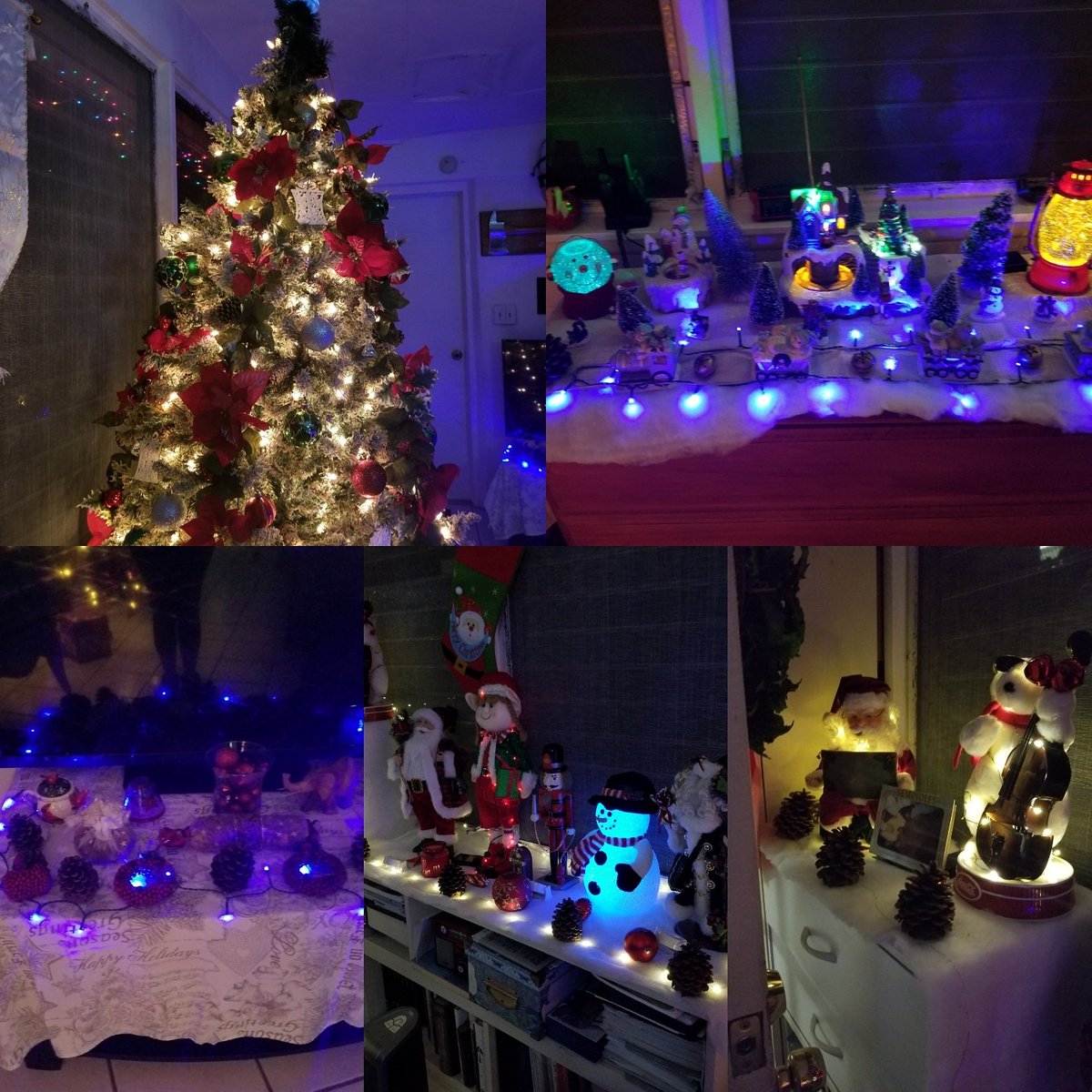 Christmas lights at Mom and Dad's #WalkingInAWinterWonderland☃️🎅🎄