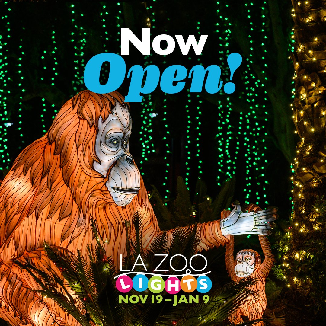 MayorOfLA's tweet photo. This holiday season, check out @LAZoo Lights with your family and friends!

Now through January 9, you can experience a musical light show, see illuminated animal displays, and more🐒

Plan your visit: https://t.co/RcePvqZ2PX https://t.co/LQqUfxAfg1