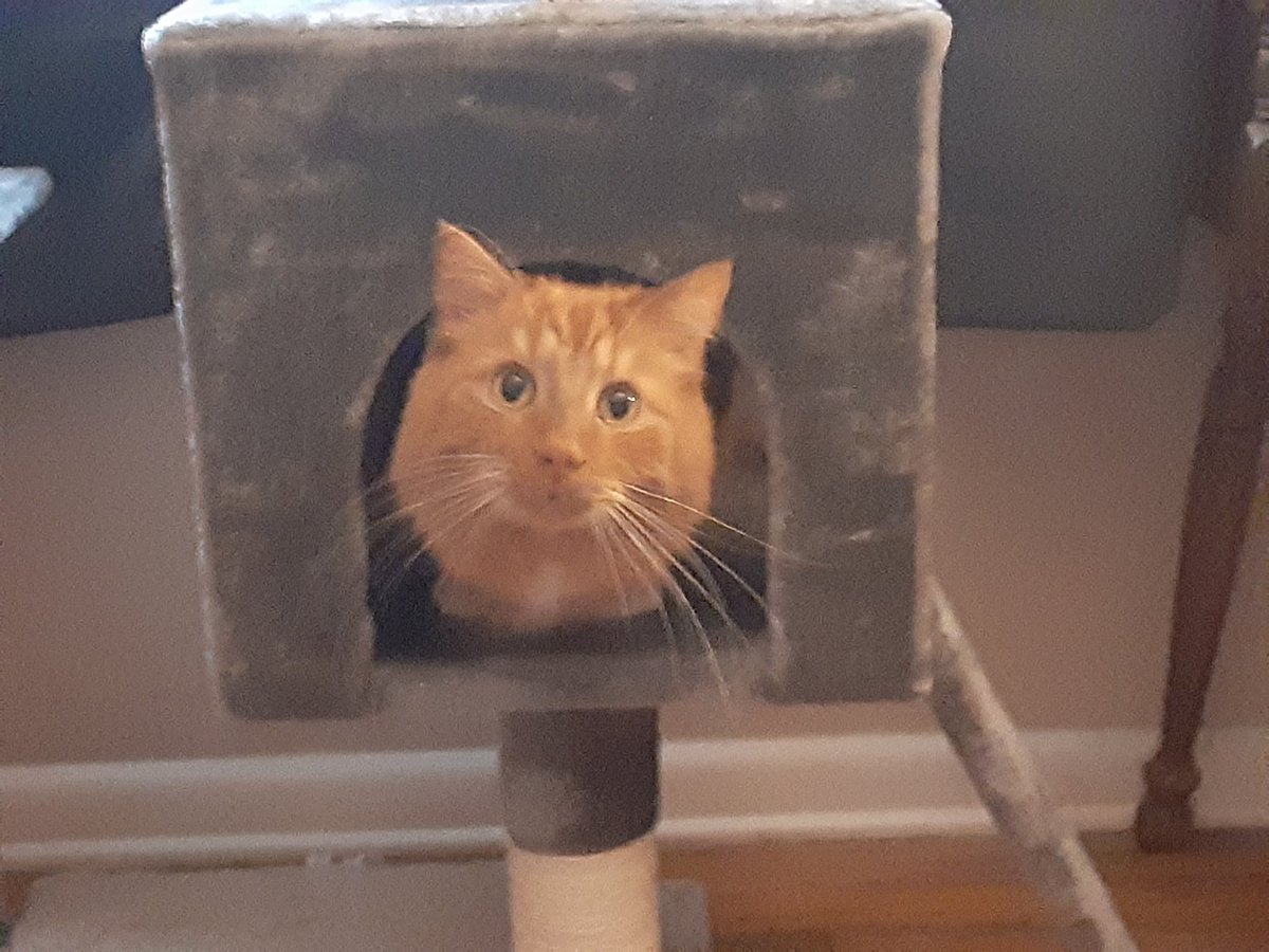 Bubbababy08's tweet image. Hello all, this is Baby's first post. He is ready to greet the twitter world!