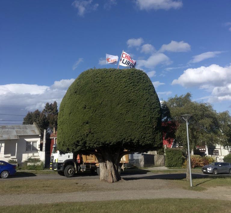 Recuperamos el árbol