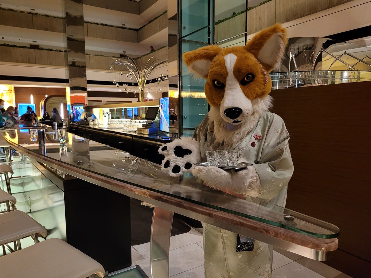 LykaiosHusky's tweet photo. So @matrioshkadog decided the line at red bar was too long and took matters into her own paws. #FURFEST2021 https://t.co/byvKLYH1OJ
