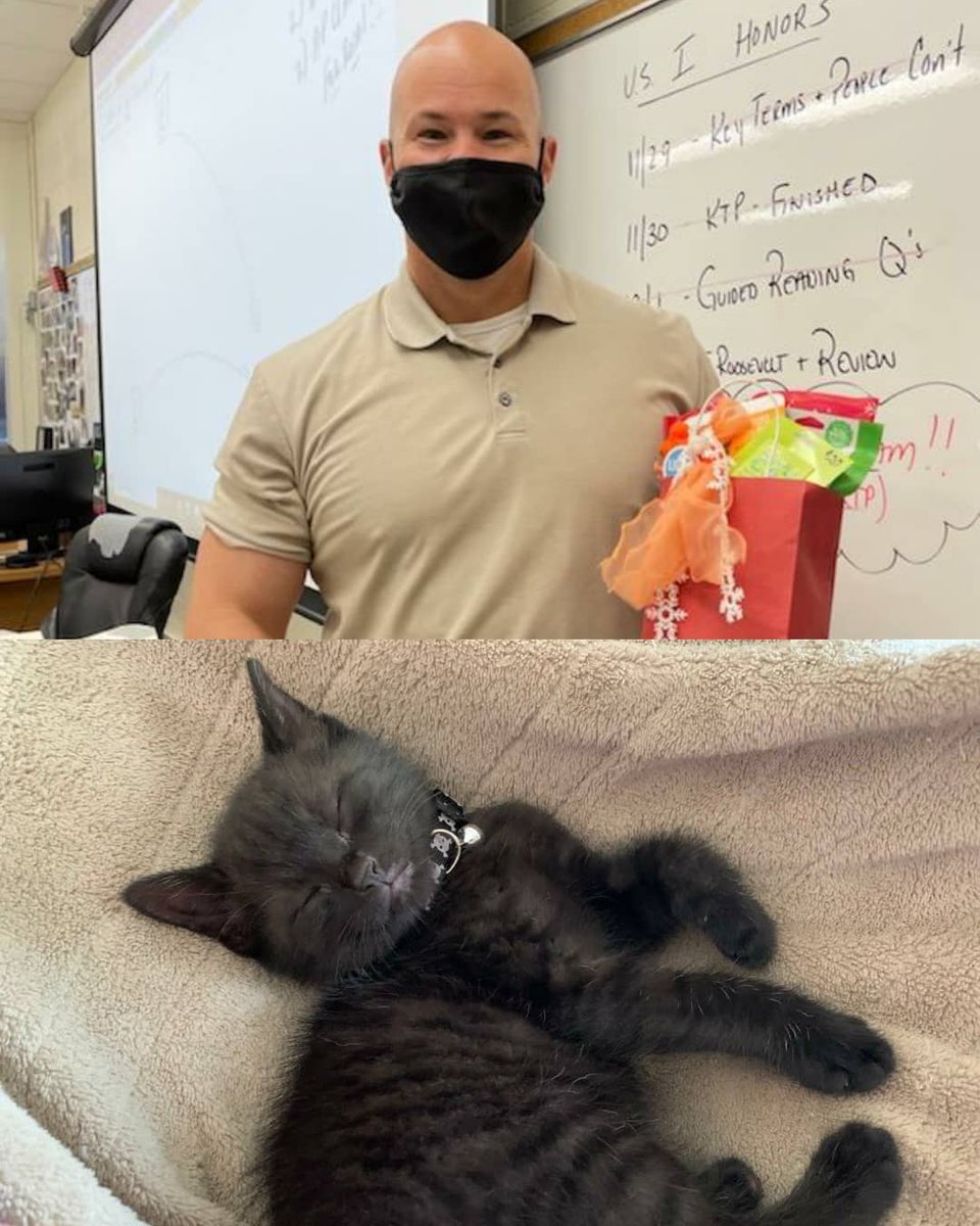 JMHSDECA's tweet photo. Classiest Cat: Jag submitted by Mr. Williams

Ruler of the Rest of the Animal 
Kingdom: Seamus, the Chinchilla, submitted by Caden Braun https://t.co/7ujNhtSSit