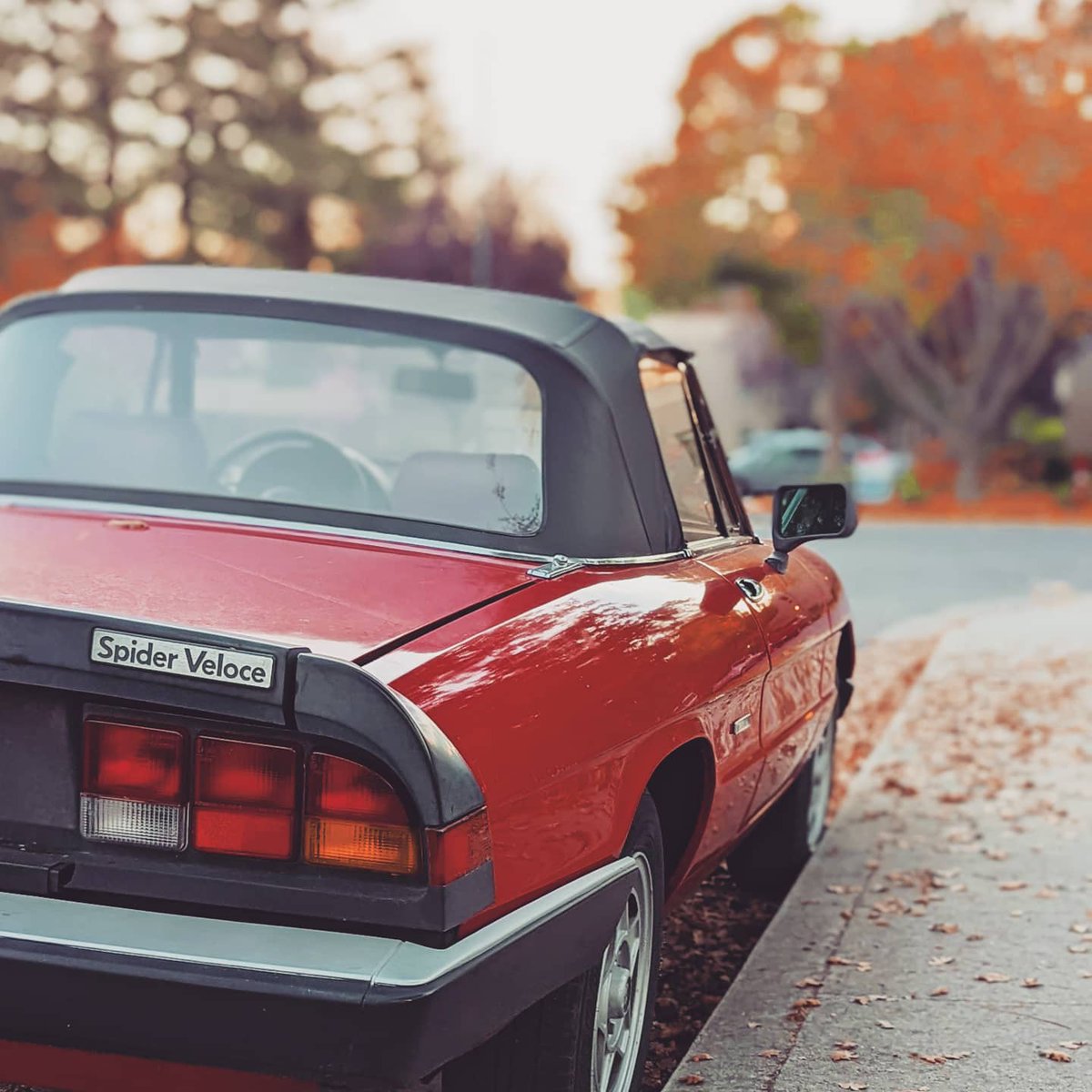 Mrlipsticks's tweet photo. Bumping into Italian stuff everywhere.
#alfaromeogiulia #alfaromeoduetto #spiderveloce #convertible #cabriolet #classiccar #italiancars #alfaromeo #redcar #autumn #pininfarina #teampixel . Shot on @madebygoogle #Pixel6Pro https://t.co/XiJWDEJRO1