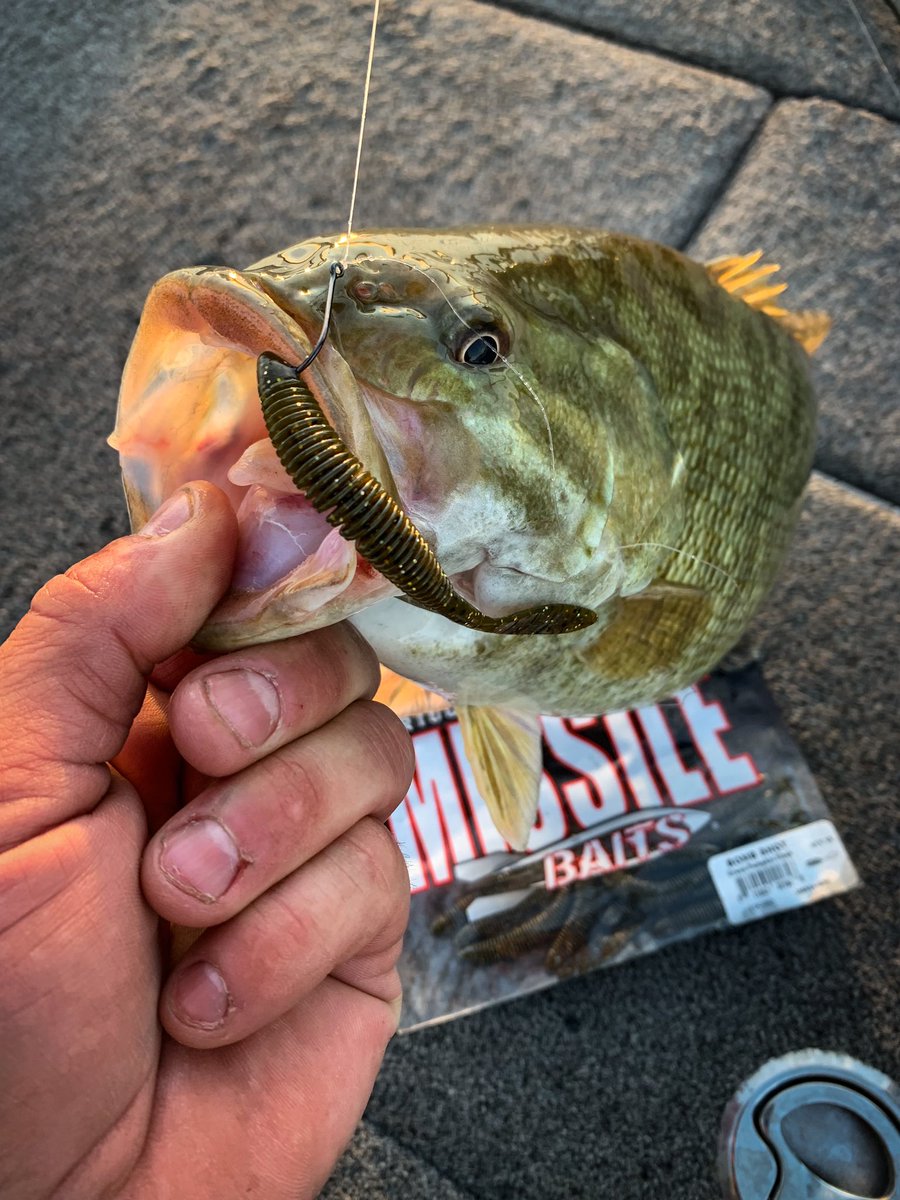 MISSILE_BAITS's tweet photo. Smallmouth candy 🍬
#missilebaits #bombshot #smallmouthbass #bassfishing https://t.co/9klI0bgUdt