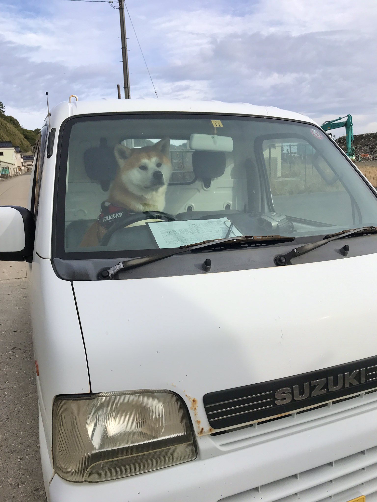 Twitter 上的 島暮らしの秋田犬 羽後 うご 一週間振りに定期船が来るから 軽トラを車検に出そう 秋田犬 飛島 Akitainu Tobishima Suzuki Carry 車検 軽トラ T Co I9bhv1gpli Twitter