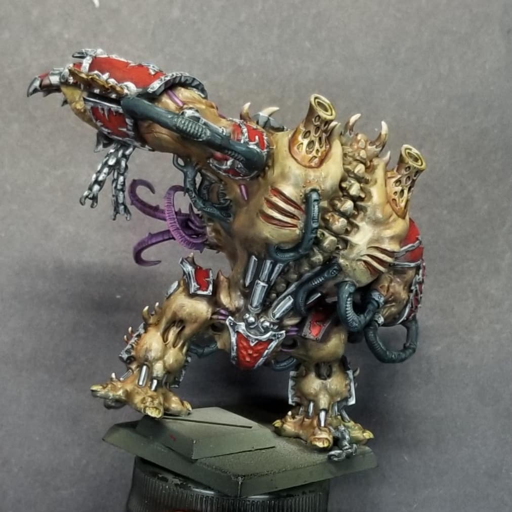 Teelsikire tweet media