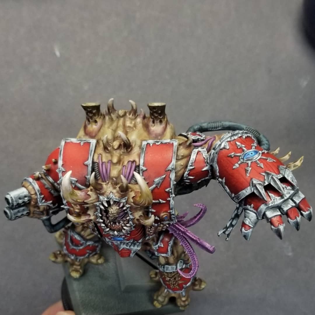 Teelsikire tweet media