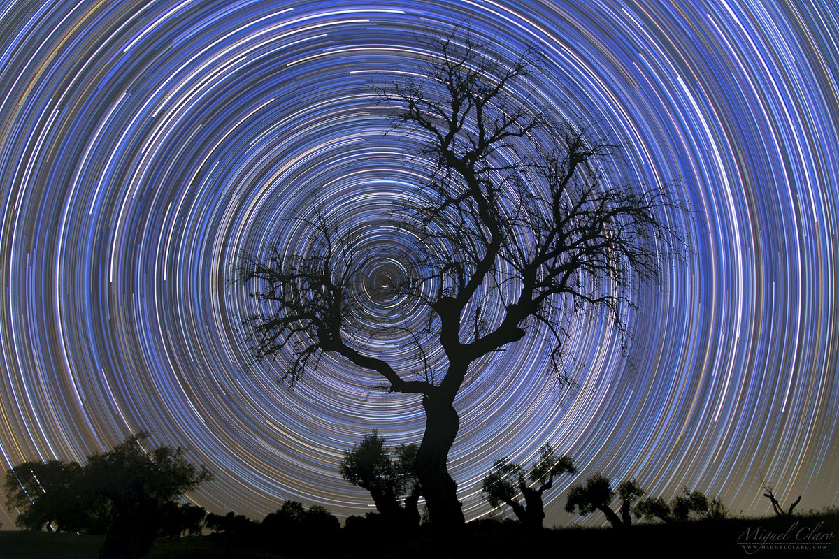 AuthenticHollyH's tweet photo. The Earth is flat and motionless. Celestial bodies follow the EXACT SAME PATHS that they have followed for thousands of years of recorded history.

#Geocentric #FlatEarth

Star Trails are not possible on a spinning sphere randomly hurtling thru space... https://t.co/p7qCT1jokr