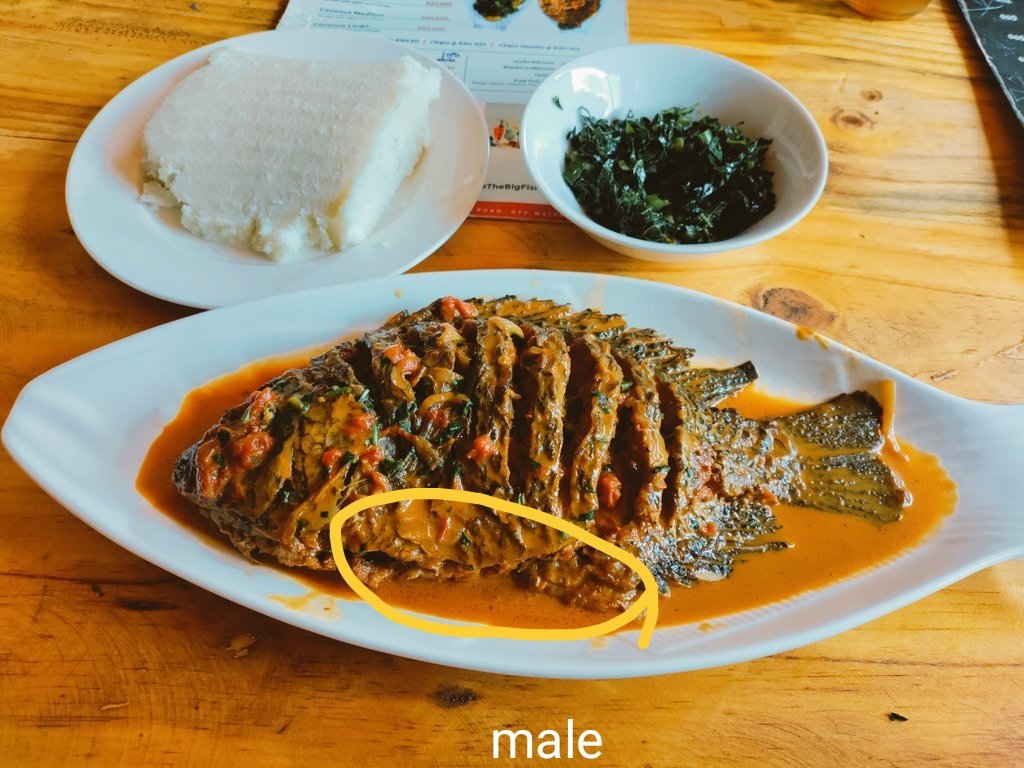 Samaki dem ni tamu kuliko chali. To tell the difference, you look at the pocket that carries eggs, normally dem huwa na a bigger one than the male. Also its the sweetest part in fish. Luos call it 'pend rech'