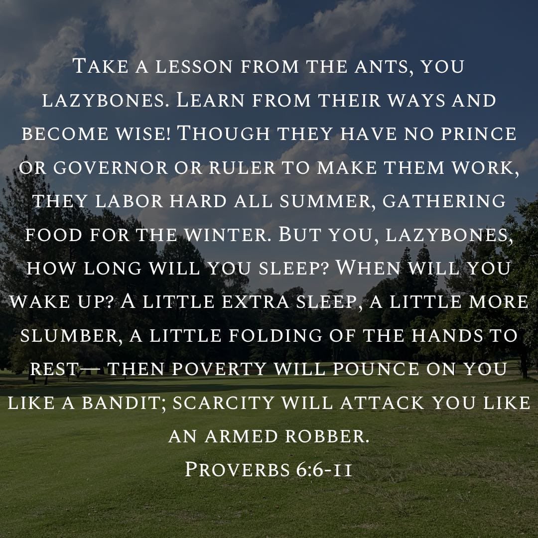 Tian Nel (@tianjohannel) on Twitter photo 