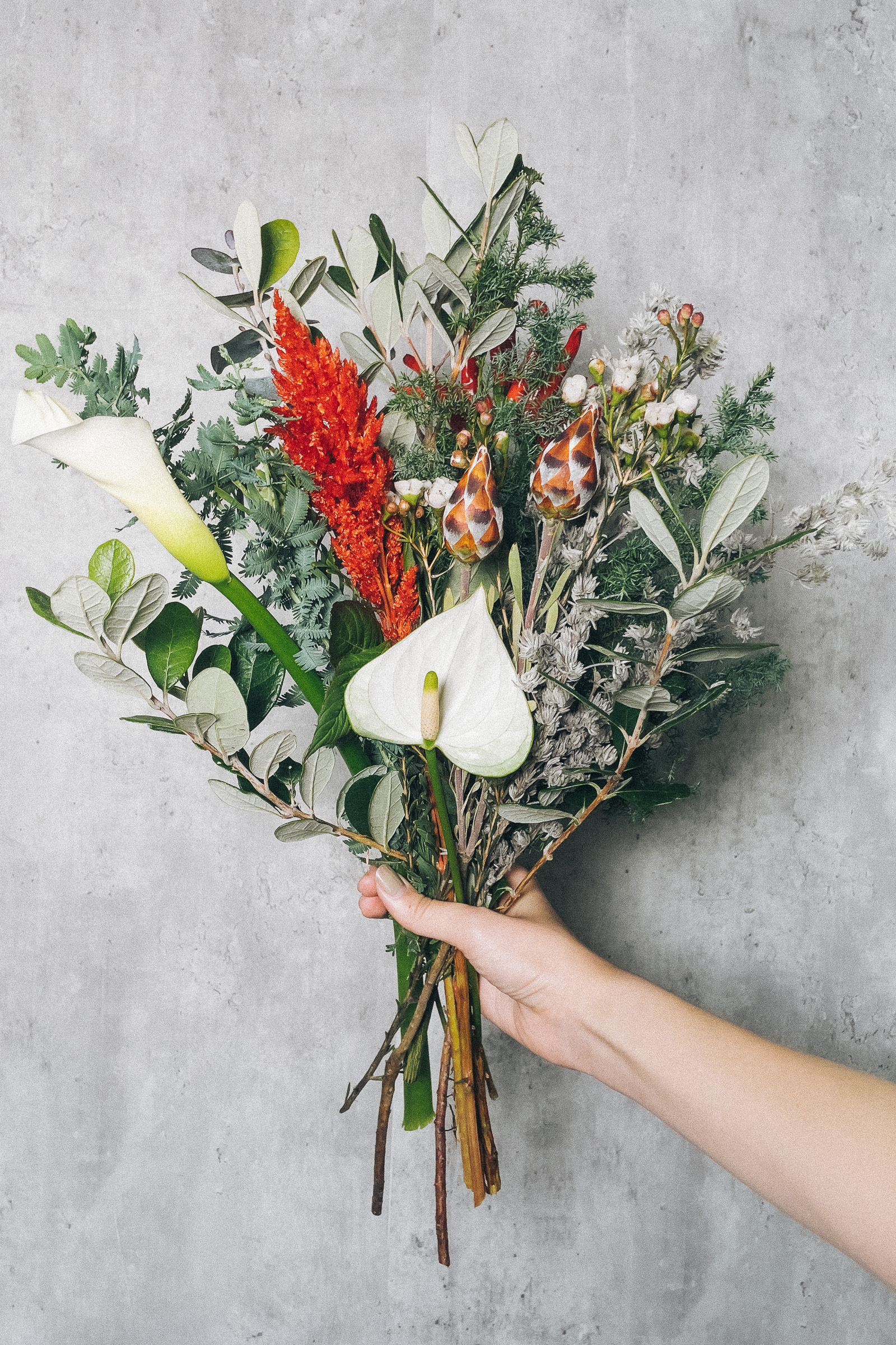 Flower 送料無料1 900円 個性的なお花を集めた大人なクリスマスブーケや 甘酸っぱいカシスカラーのブーケを作りました 数量限定なのでお早めに T Co Gzrq0nanhn T Co 0s1dmzitfc Flower Is ロスレスブーケ T Co