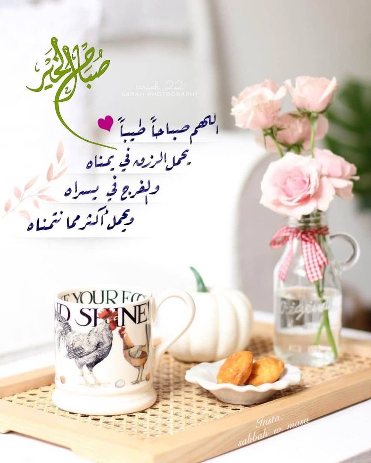 AliinTaleb1's tweet photo. https://t.co/AJHoalPkja