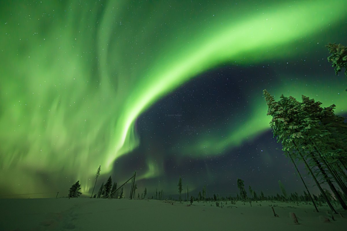 OurLapland's tweet photo. This is how our beloved Finland's Independence day celebration started today. What a magical moment! Greeting from #Lapland. Picture taken at 2 am midnight in Muonio.

Happy Independence Day Finland 🇫🇮❤️

#itsenäisyyspäivä #Suomi #thisisFinland 

📷 @smjasim https://t.co/45DhXNekFQ