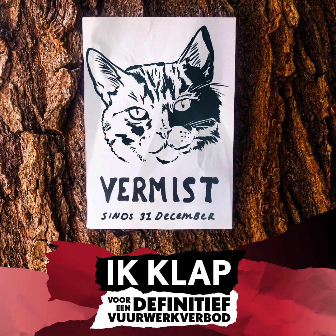 DierenAmsterdam's tweet photo. Vuurwerk en dieren gaan niet samen. 
Vuurwerk en milieu ook niet.
Daarom klappen wij voor een
DEFINITIEF
landelijk vuurwerkverbod!

Klap mee:
deel deze post en ga naar

https://t.co/F3jSHeUiuT

#Help Teken het manifest #Vrijwilligers #Dierenambulance #Amsterdam #Goedemorgen https://t.co/us3QL3xxWg
