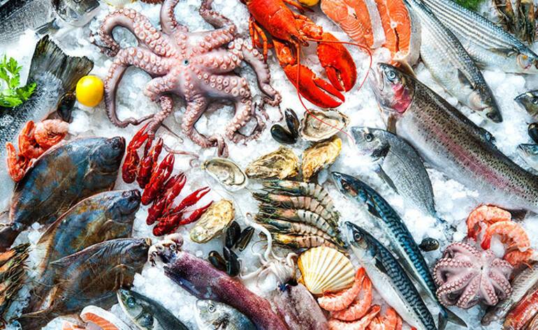 spguptapa5's tweet photo. Italian link to Panama Specialy love Seafood.See if the Panama City Beach Carrabba's Italian Grill you'd like to order from lets you,No matter what you're in the mood for, you're sure to find something you love on the menu at Lola Coastal Italian. https://t.co/fuckOK8bxp