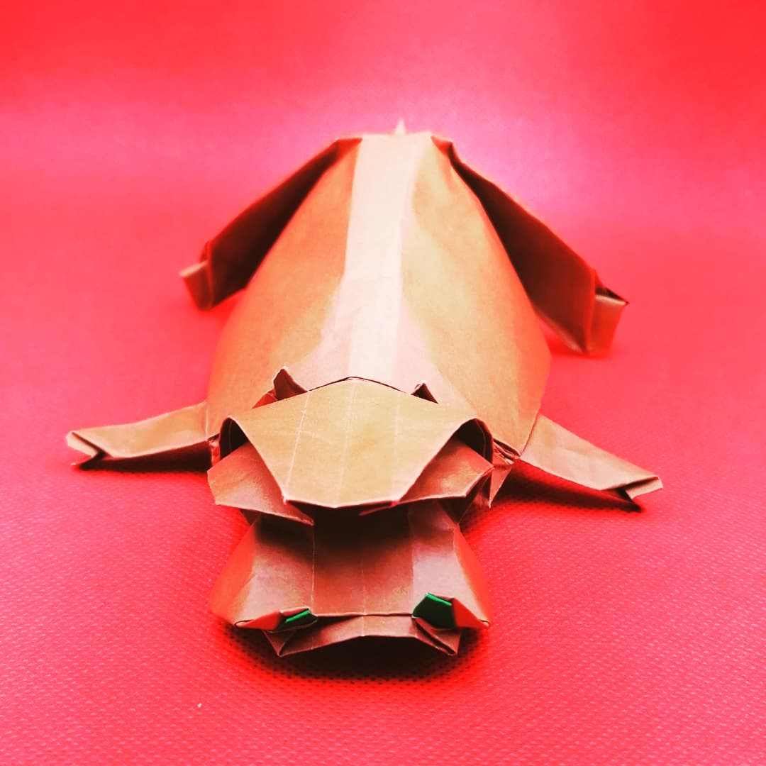 haidewiets's tweet photo. Monday December 6th, 2021

Holiday Red
Festive flat.... 

Hippopotamus Opus 654
Robert J. Lang

 #hippo #hippopotamus #opus654
#festive #flat #holidays2021 
#haidewiets  #ZheZhi  #origami 
#h折り紙 #摺紙 https://t.co/mWF6dW9EBK